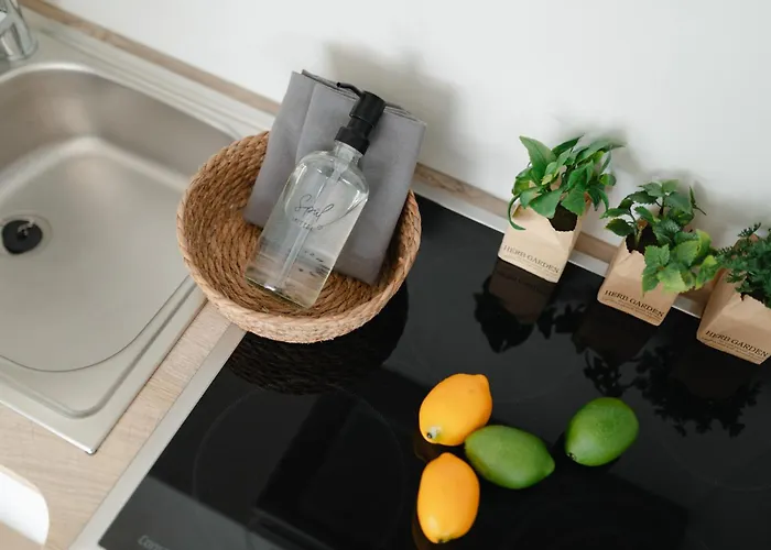 Apartment Bismarck 1884 B3